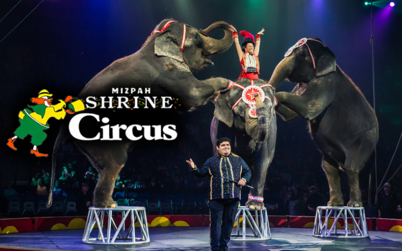 Mizpah Shrine Circus 2025 Calendar - Dasie Randie